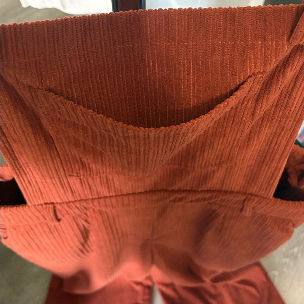 Cider Corduroy Jumpsuit - Picture 3 of 6